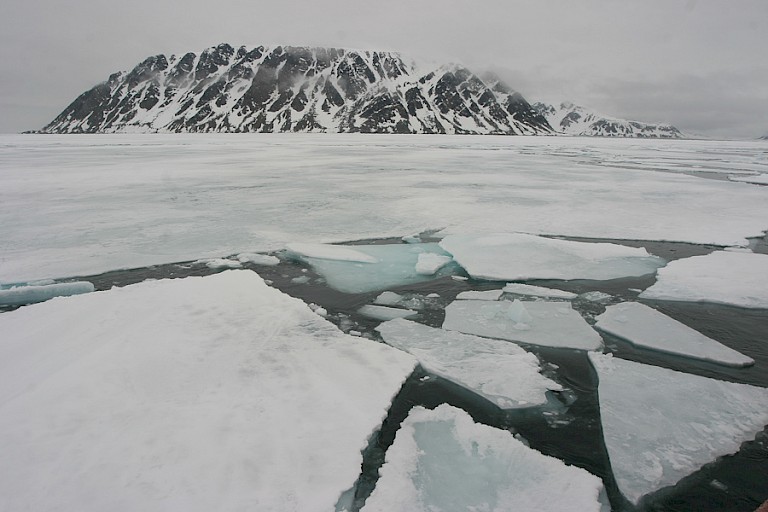 Pakijs in het noordwesten van Spitsbergen.
