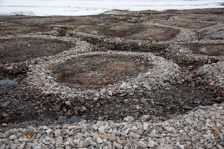 Vorstringen op Sarstangen, Spitsbergen.