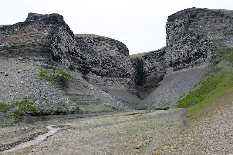 Grote kloof op Edgeøya met Drieteenmeeuwkolonie, Zuidoost-Spitsbergen.