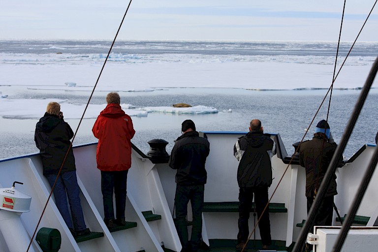 Op de uitkijk: walrus op het ijs.