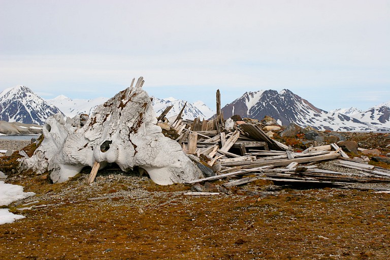 Walvisbeenderen bij Gåshamna.