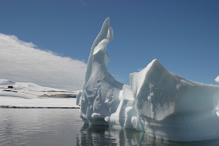 IJsbergen dobberen in de baai.