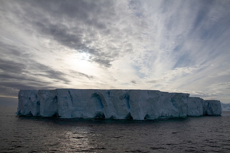 Tafelijsberg afkomstig uit de Weddellzee.