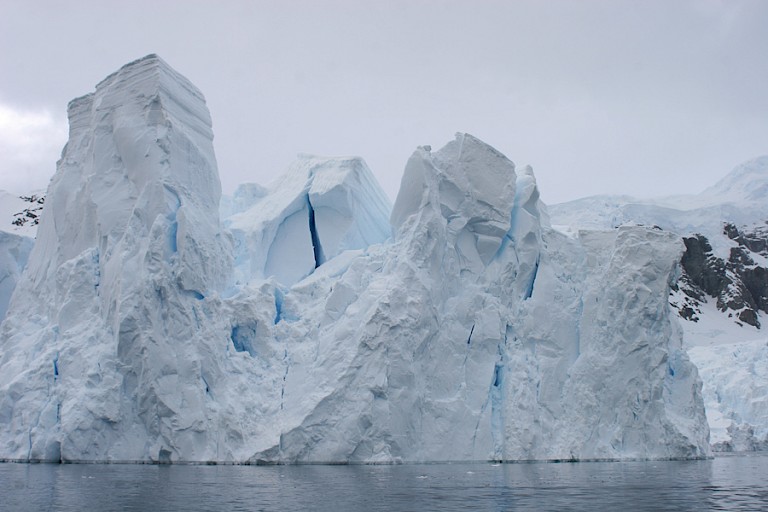 Gletjersfront in Paradise Bay.