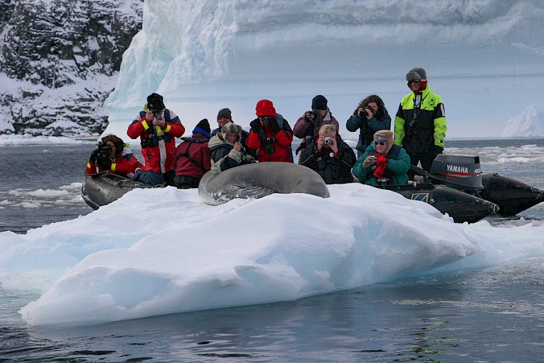 Een Zeeluipaard laat zich van alle kanten fotograferen.