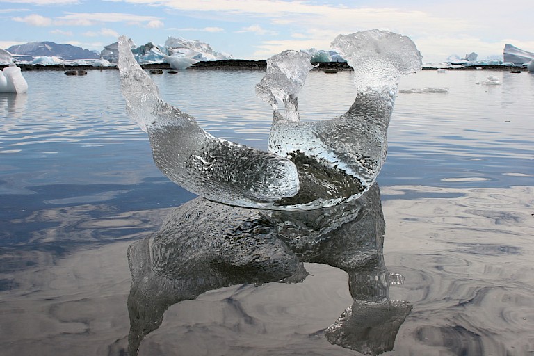 Intrigerend ijsbergje.