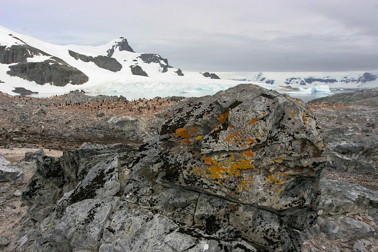 Ruig landschap Pleneau.