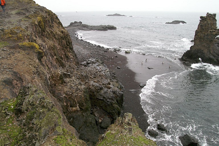 De steile rotskust van Livingston.