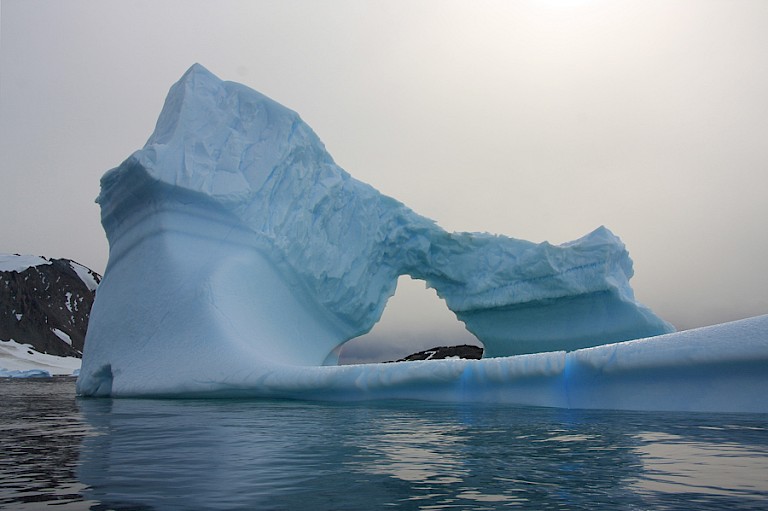 IJsbergen zijn hier in alle maten te vinden.