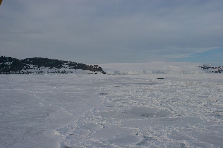 Lopend op weg naar de Keizerspinguinkolonie.