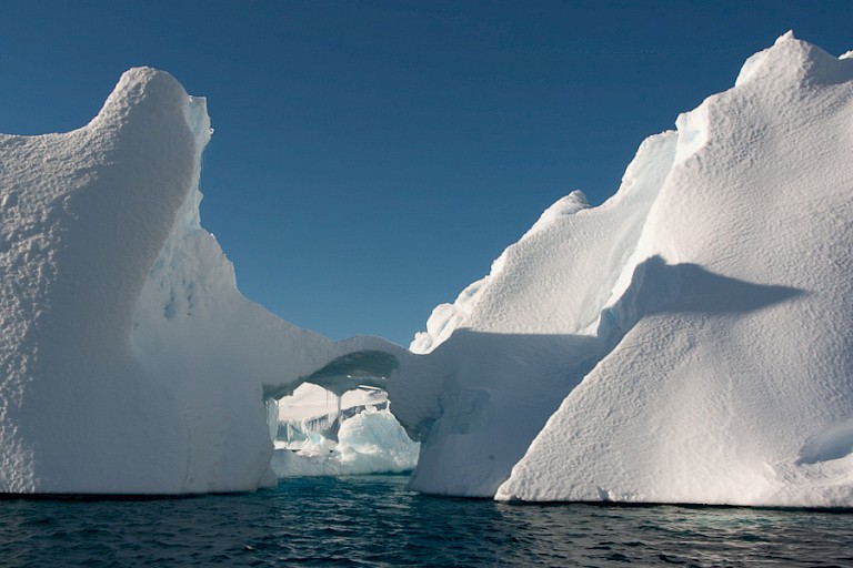 Varen met het schip of zodiacs langs de gestrande ijsbergen.
