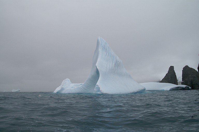 IJsbergen dobberen overal rond bij Antarctica.