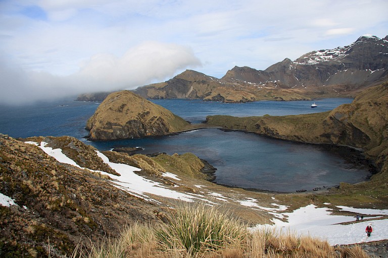 Coblers Cove (South Georgia).