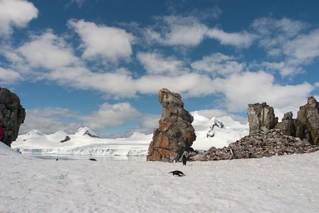 Half Moon, een van de South Shetlandeilanden.