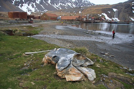 Grytviken, South Georgia.