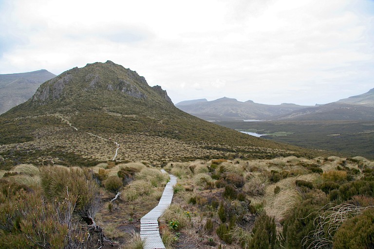 Boardwalk op Campbell.