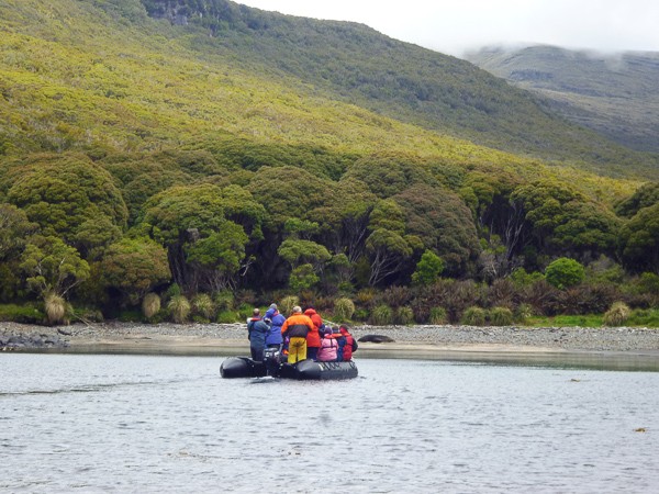 Ruige bossen bedekken de Auckland- & Snareseilanden.
