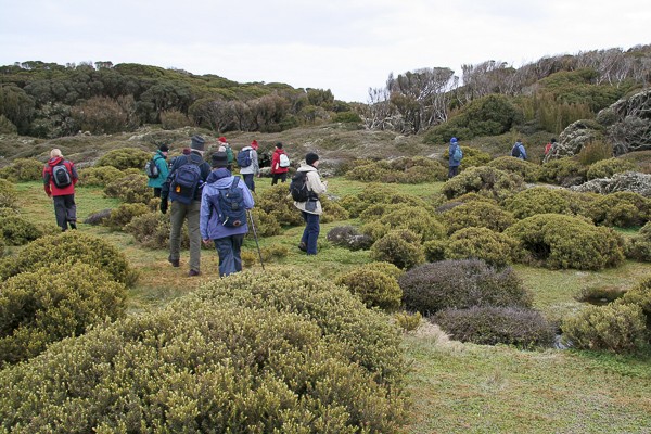 Wandeling op de zelden bezochte subantarctische eilanden.
