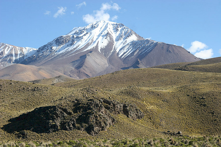 De Pomerape vulkaan in het Lauca NP, Chili.