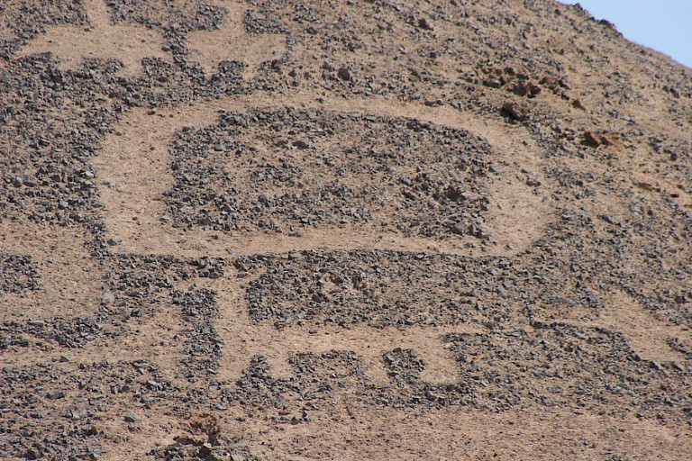 Petroglyphen bij Arica, Chili.