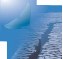 Logo beluga Adventures